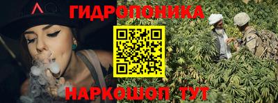 мдпв Гусь-Хрустальный