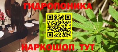 мдпв Гусь-Хрустальный