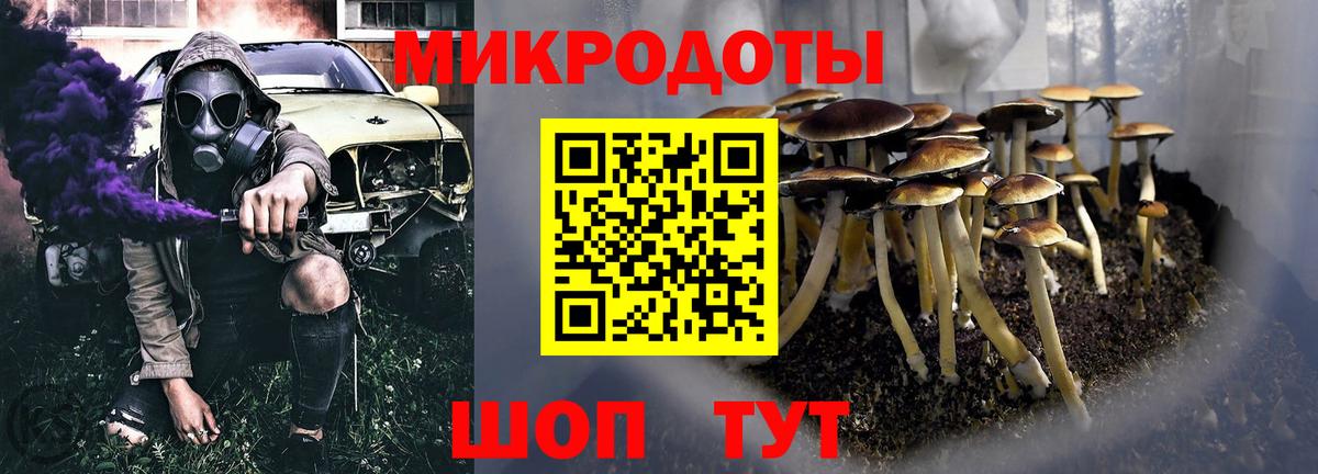 Галлюциногенные грибы Psilocybine cubensis Назрань